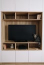Living room interior with TV and a wardrobe. Cute cat indoor shooting. Home interior design, scandinavian style