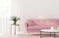Living room with a pink sofa