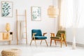 Living room with retro armchairs Royalty Free Stock Photo