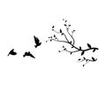 Flying Birds on Branch Vector, Wall Decals, Birds on Tree Design Royalty Free Stock Photo