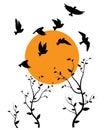 Flying birds silhouettes and trees illustration on sunset, vector Royalty Free Stock Photo