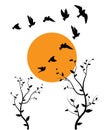 Flying birds silhouettes and trees illustration on sunset, vector Royalty Free Stock Photo