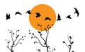 Flying birds silhouettes and trees illustration on sunset, vector Royalty Free Stock Photo