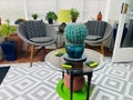 Living Room with large cactus in plant pot Royalty Free Stock Photo