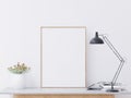 Living room on the white wall, little tree, book and lamp minimal style ,frame form mock up -