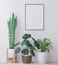 Living room on the white wall, little tree minimal style ,frame form mock up