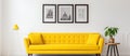 Living room with yellow couch and plant, wood flooring