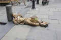 Living Statue Street Artist