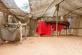 Living tent for ancient Arabian people in the Heritage folk village in Abu Dhabi, United Arab Emirates