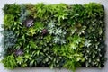 living wall tropical green plants background. Vertical garden