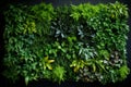 living wall tropical green plants background. Vertical garden