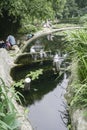 Living water garden in chengdu,china