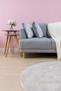 Livingroom interior with grey velvet sofa on pink wall background