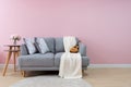 Livingroom interior with grey velvet sofa on pink wall background