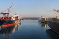 Container terminal with stowed containers from different shippers gantry cranes and straddle carriers in Livorno. Royalty Free Stock Photo