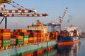 Container terminal with stowed containers from different shippers gantry cranes and straddle carriers in Livorno. Royalty Free Stock Photo