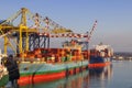 Container terminal with stowed containers from different shippers gantry cranes and straddle carriers in Livorno. Royalty Free Stock Photo