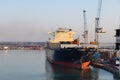 Container terminal with stowed containers from different shippers gantry cranes and straddle carriers in Livorno. Royalty Free Stock Photo