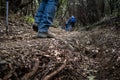 Livorno Rosignano trekking, Tuscany - Italy Royalty Free Stock Photo