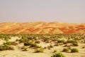 Liwa Sand Dunes Royalty Free Stock Photo