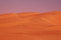 Liwa Sand Dunes Royalty Free Stock Photo