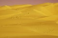 Liwa Sand Dunes Royalty Free Stock Photo