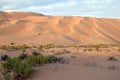 Liwa sand dunes Royalty Free Stock Photo