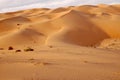 Liwa sand dunes Royalty Free Stock Photo