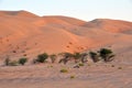 Liwa sand dunes Royalty Free Stock Photo