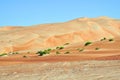 Liwa sand dunes Royalty Free Stock Photo