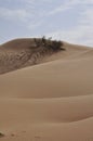 Liwa sand dunes Royalty Free Stock Photo