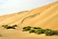 Liwa sand dunes Royalty Free Stock Photo