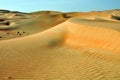 Liwa sand dunes Royalty Free Stock Photo