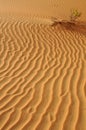Liwa sand ripples Royalty Free Stock Photo