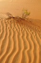 Liwa sand ripples Royalty Free Stock Photo