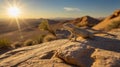 Bearded Dragon basks in the golden sunset light atop desert rock formation Royalty Free Stock Photo