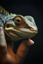 A lizard is being held in the hand, AI Royalty Free Stock Photo