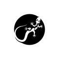 Lizard Chameleon Gecko animall logo and symbol vector illustration