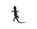 Lizard Chameleon Gecko Silhouette black vector 10