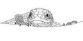 Lizard closeup. Head, eyes and claws. Doodle image.