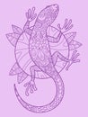 Lizard color drawing vector