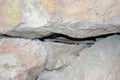 Lizard at the crack of rock Royalty Free Stock Photo