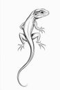 Lizard crawling up white background showing its long tail Royalty Free Stock Photo