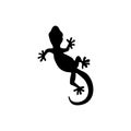 Lizard , design, animal, and reptile, gecko