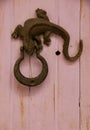 Lizard Door Knocker