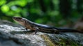 A lizard explores a moss-covered rock in a vibrant green forest under bright sunlight Royalty Free Stock Photo