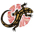 Lizard - Fiery Salamander and fire circle Royalty Free Stock Photo