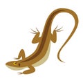 Lizard flat illustration