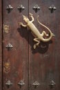 Lizard golden door knob in a rustic gate Royalty Free Stock Photo