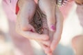 Lizard in the hands of a little girl